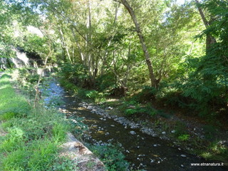 Torrente Vacco